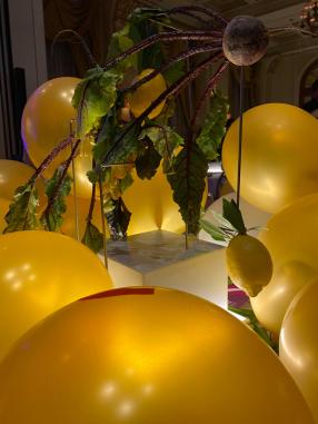 86970894_529945047632978_448602066982535168_n