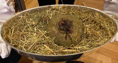 87010376_547827456083170_3960384095191564288_n